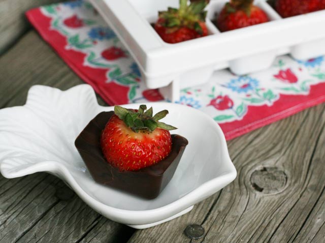 巧克力草莓，装在冰块托盘里。这是制作巧克力草莓最简单的方法!点击查看简单的食谱。