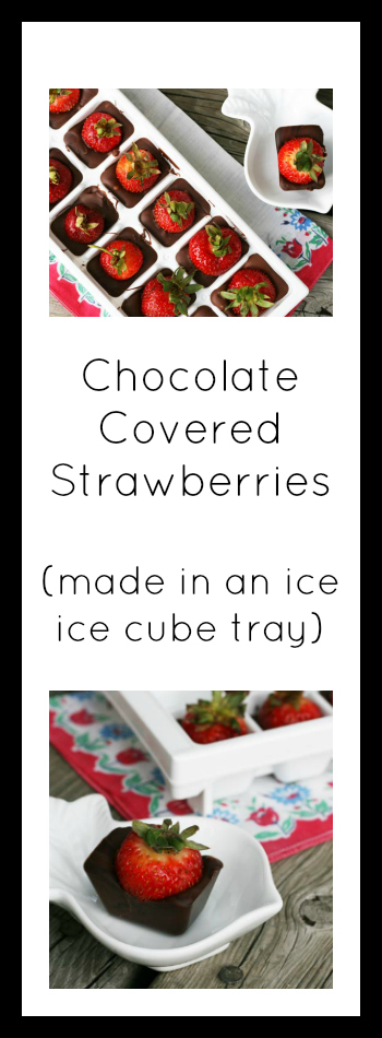吃巧克力草莓蛋糕(在一个冰块托盘)。点击指令!