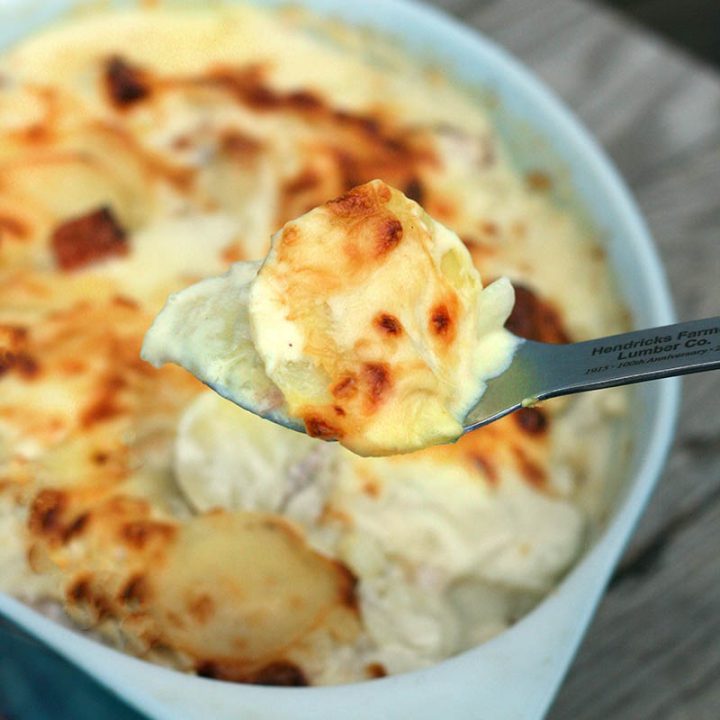 土豆火腿扇贝:额外的奶油，不凝结的食谱。点击查看说明!
