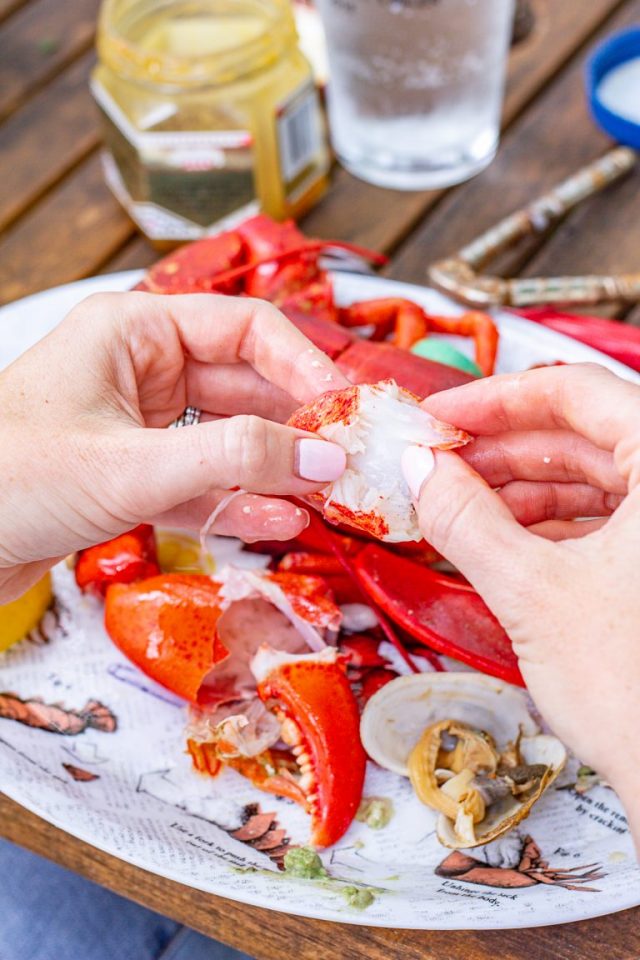 学习如何在锅里烤传统的缅因州龙虾:点击查看食谱!